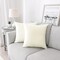 Decorative Throw Pillow Covers Velvet Soft for Couch Sofa Bedroom Living Room Outdoor Pack of 2 18x18 Inch Cream White